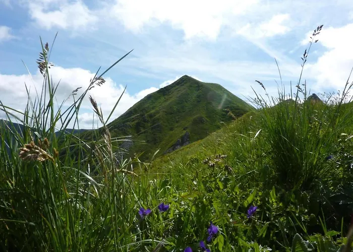 Renove Avec Balcon Et Wi-fi, Mont-dore - Fr-1-608-171 Appartement